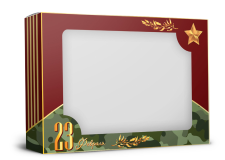Упаковка с окошком "23 февраля-2" 305х30х205 мм