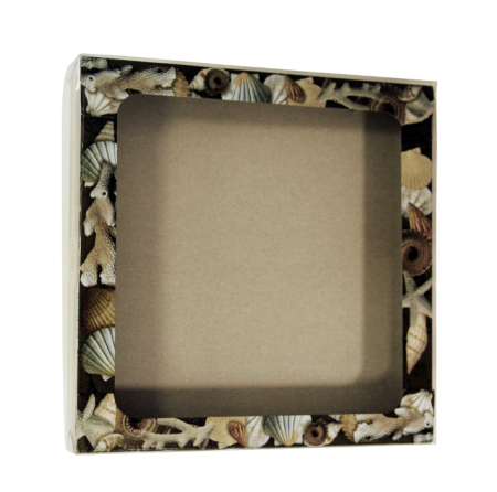 Упаковка с окошком "Ракушка" 260х30х260 мм